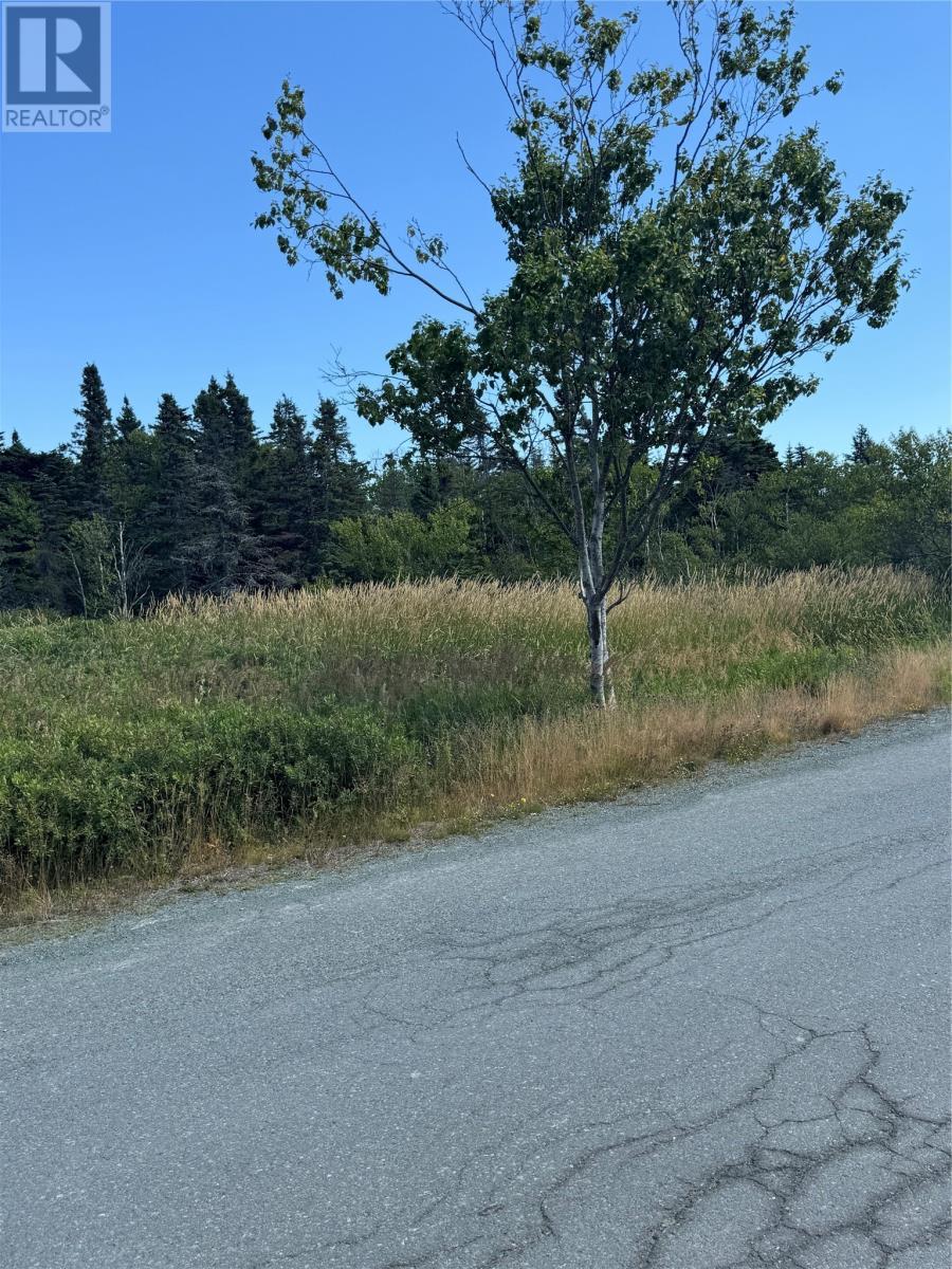 20-34 Crowes Lane, Torbay, NL