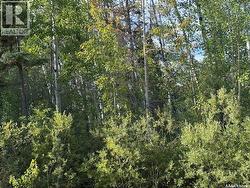 2012 Laronge AVENUE La Ronge, SK S0J 1L0