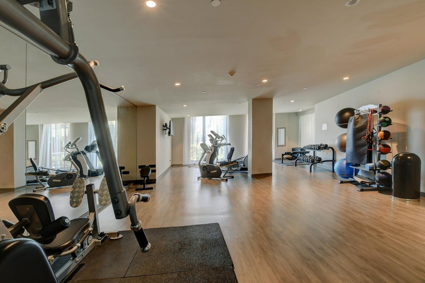 Salle d'exercice - 309-36 Ch. Du Bord-Du-Lac-Lakeshore, Pointe-Claire, QC - Indoor Photo Showing Gym Room