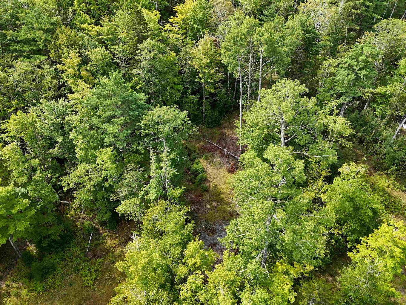 37 148 Uhlman Point Road, Molega North, NS