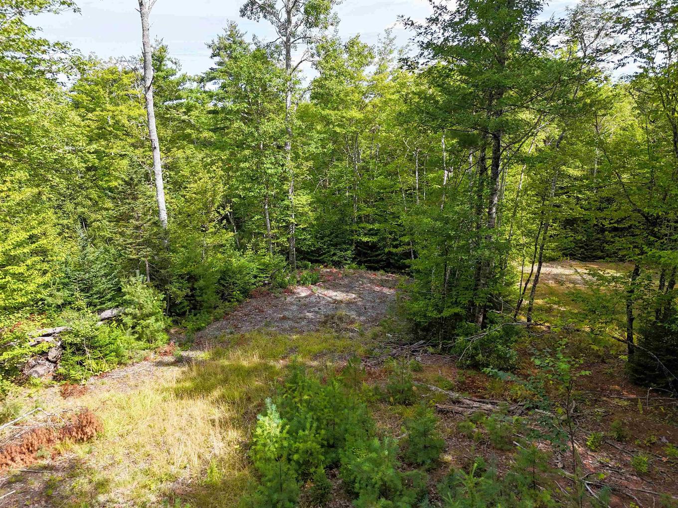 37 148 Uhlman Point Road, Molega North, NS