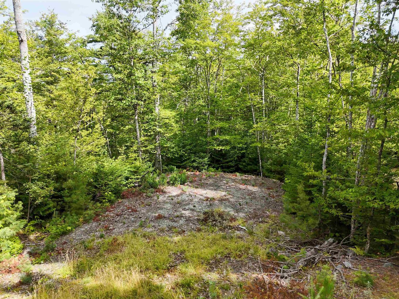 37 148 Uhlman Point Road, Molega North, NS