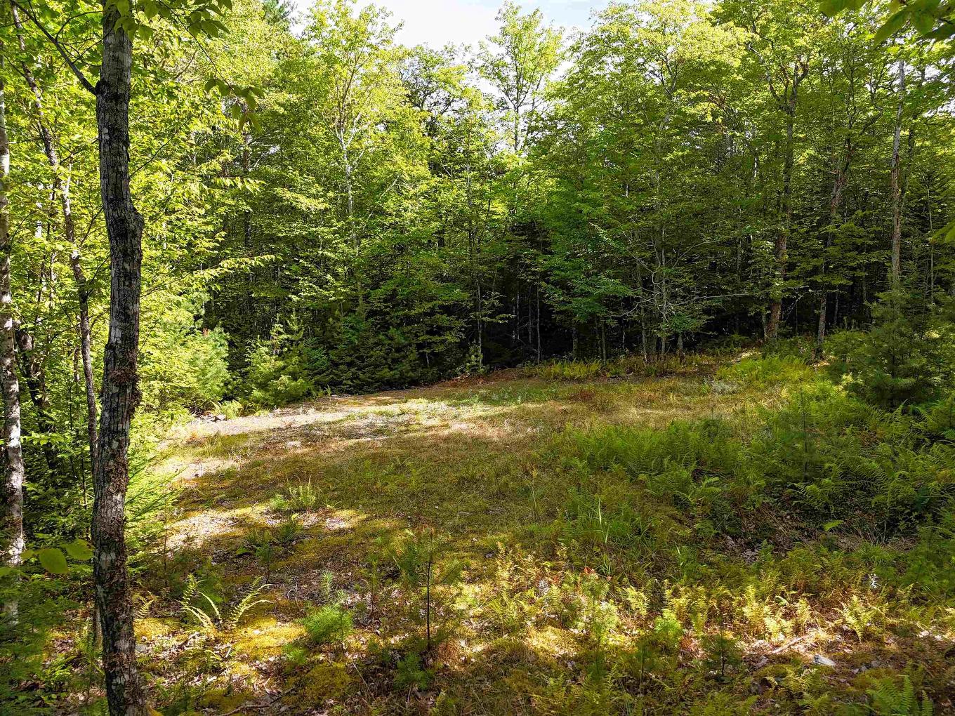 37 148 Uhlman Point Road, Molega North, NS