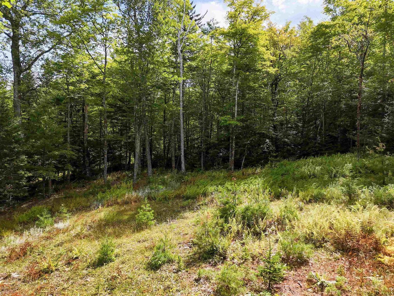 35 142 Uhlman Point Road, Molega North, NS