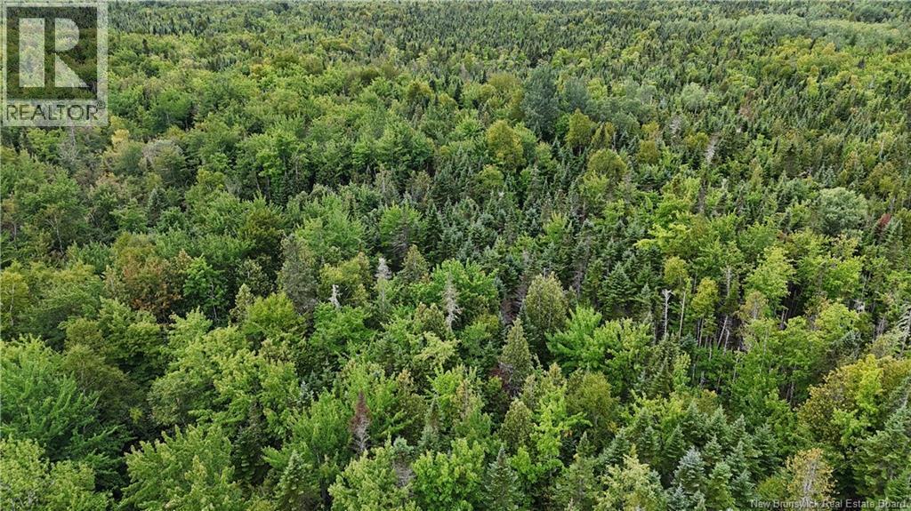 98.9 Acres Route 355, Sainte Rose, NB