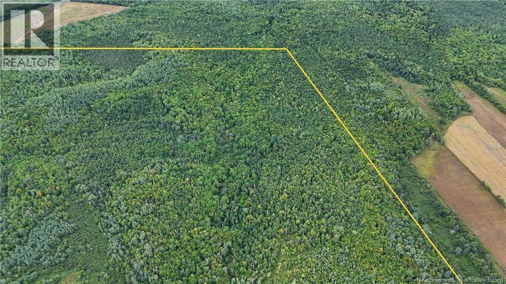 98.9 Acres Route 355, Sainte Rose, NB