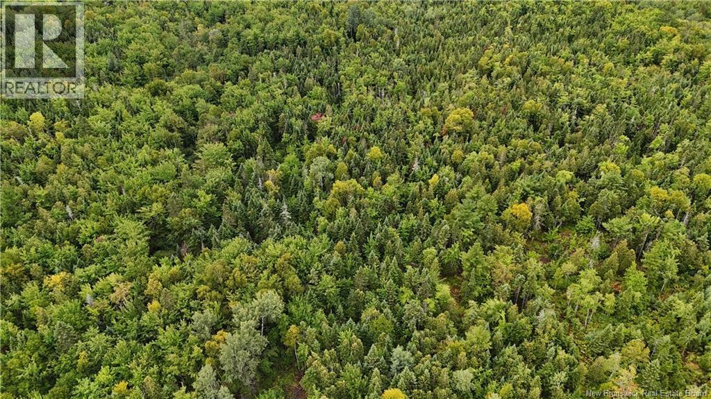 98.9 Acres Route 355, Sainte Rose, NB