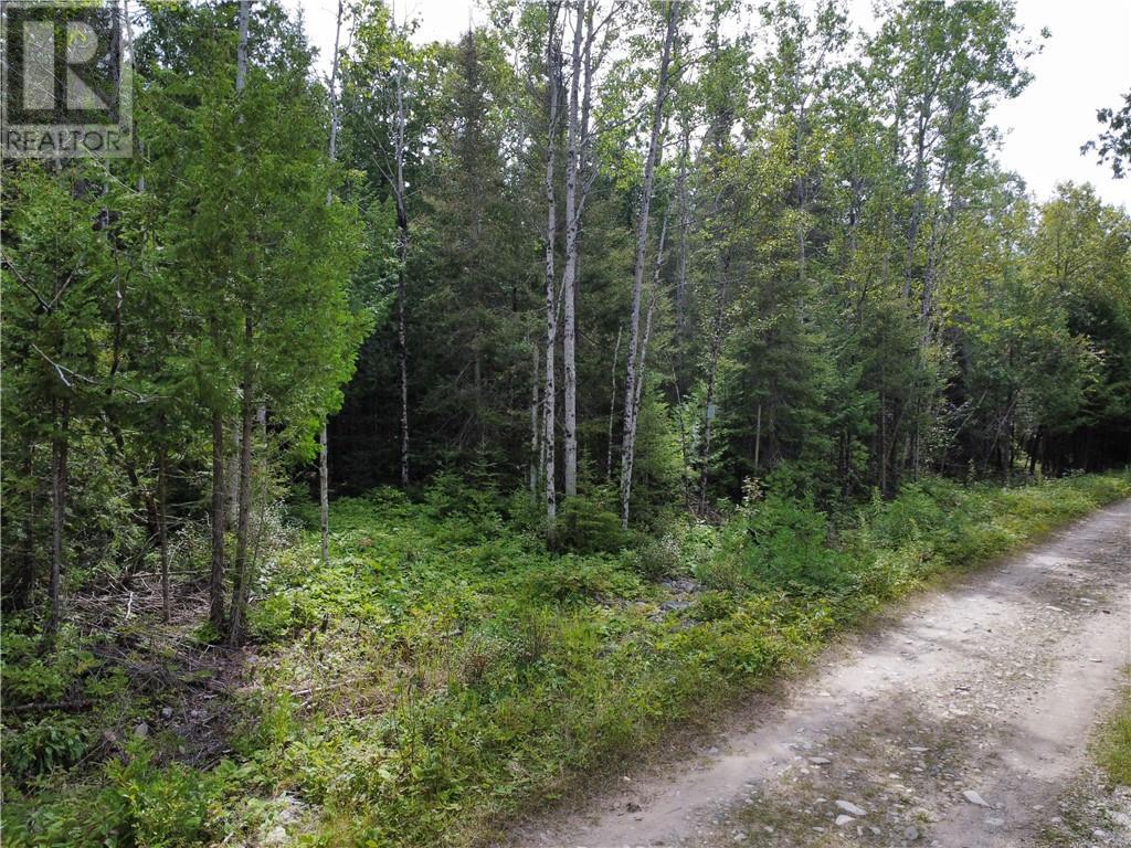 706 & 698 Pebble Rd, Silver Water, Manitoulin Island, ON