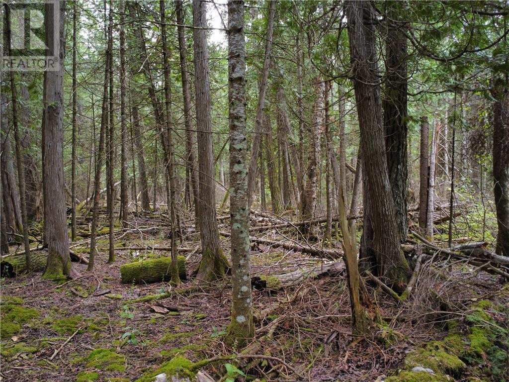 706 & 698 Pebble Rd, Silver Water, Manitoulin Island, ON