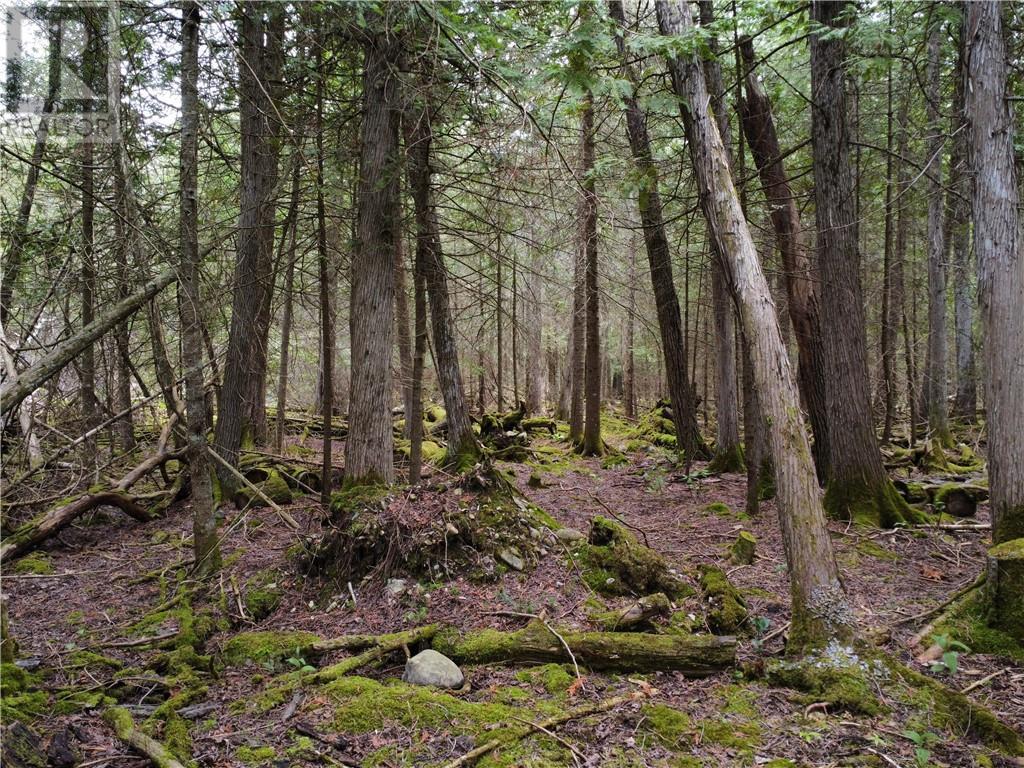 706 & 698 Pebble Rd, Silver Water, Manitoulin Island, ON