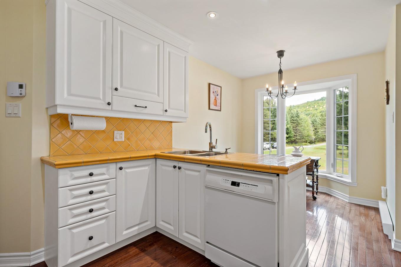 Kitchen - 535 Rue Émond, Mont-Tremblant, QC - Indoor Photo Showing Kitchen With Double Sink