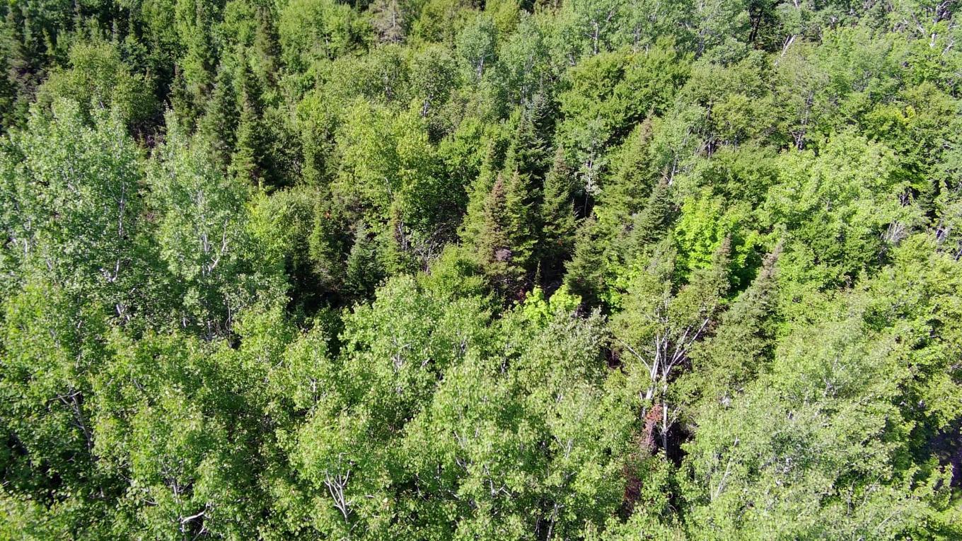 Photo aérienne - 4E Rang O., New Richmond, QC