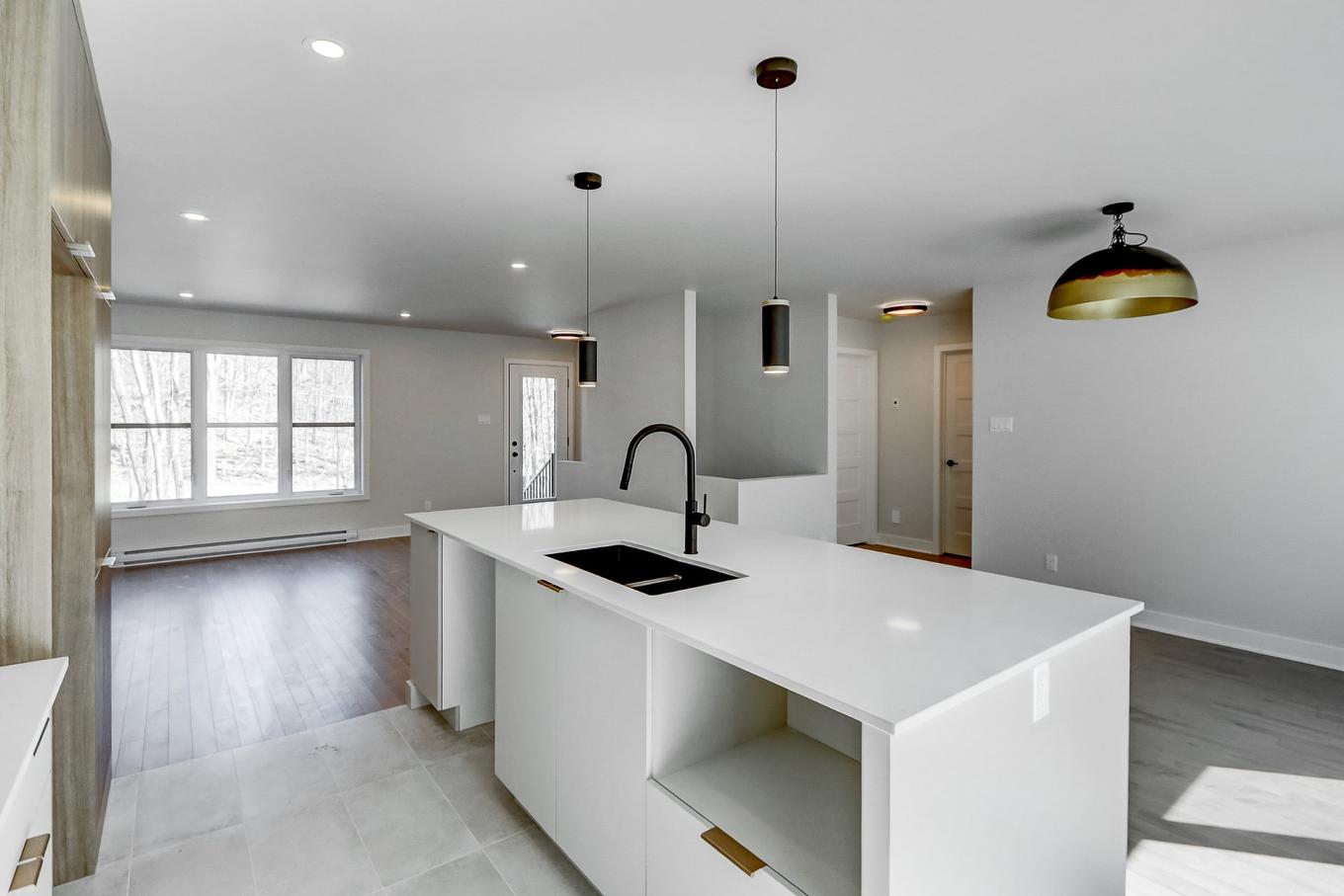 Cuisine - 118 Ch. Des Quatorze-Îles, Saint-Hippolyte, QC - Indoor Photo Showing Kitchen With Double Sink With Upgraded Kitchen
