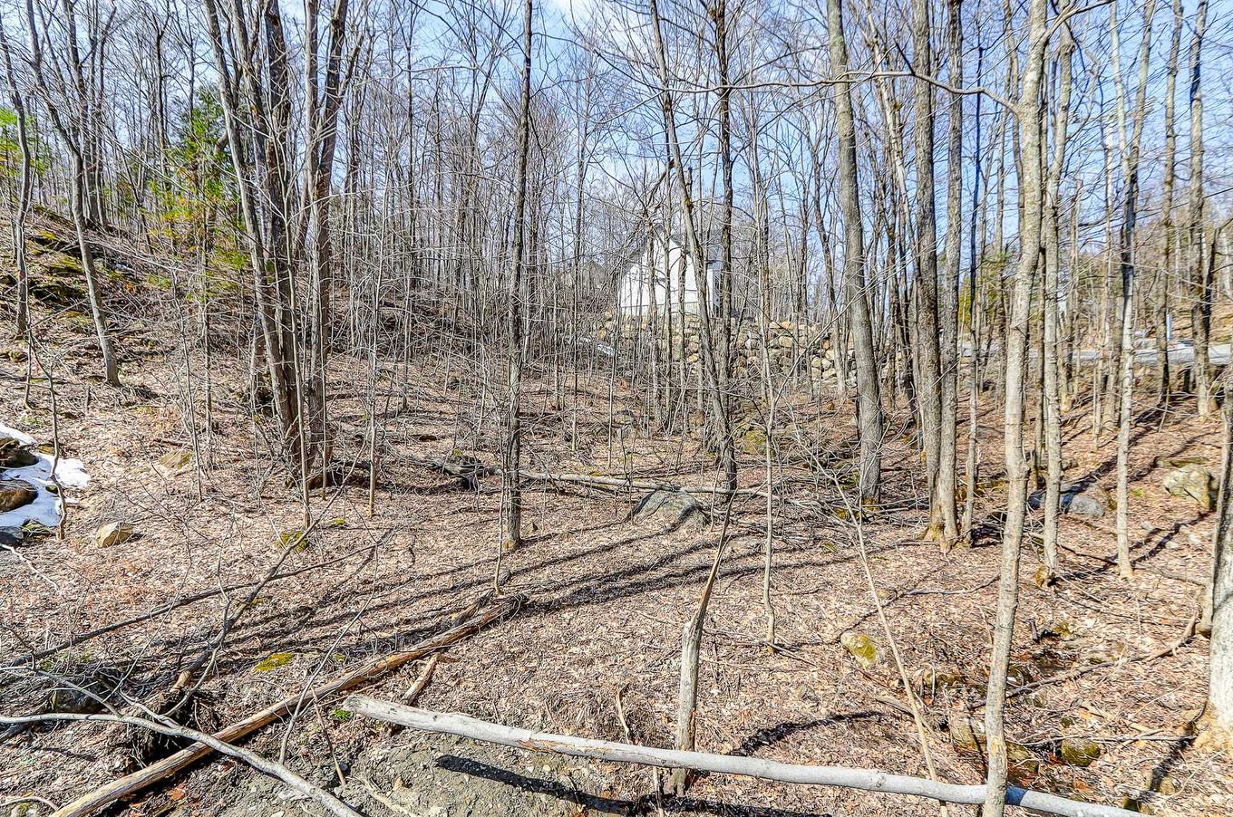 Vue - 118 Ch. Des Quatorze-Îles, Saint-Hippolyte, QC - Outdoor With View