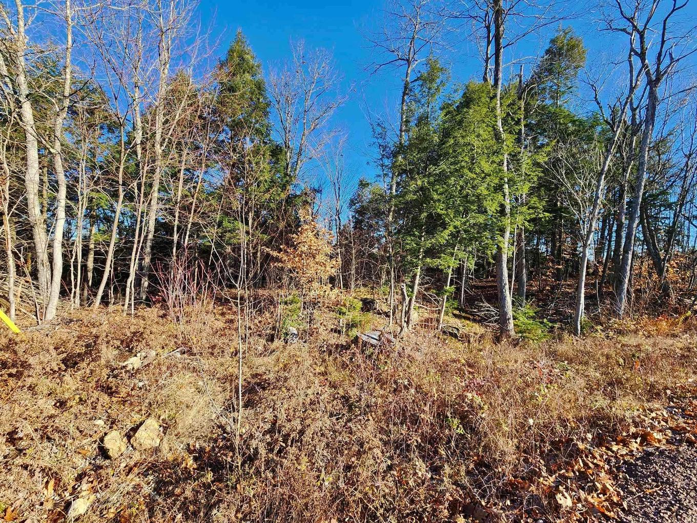 Terre/Terrain - Rue De Düren, Brownsburg-Chatham, QC