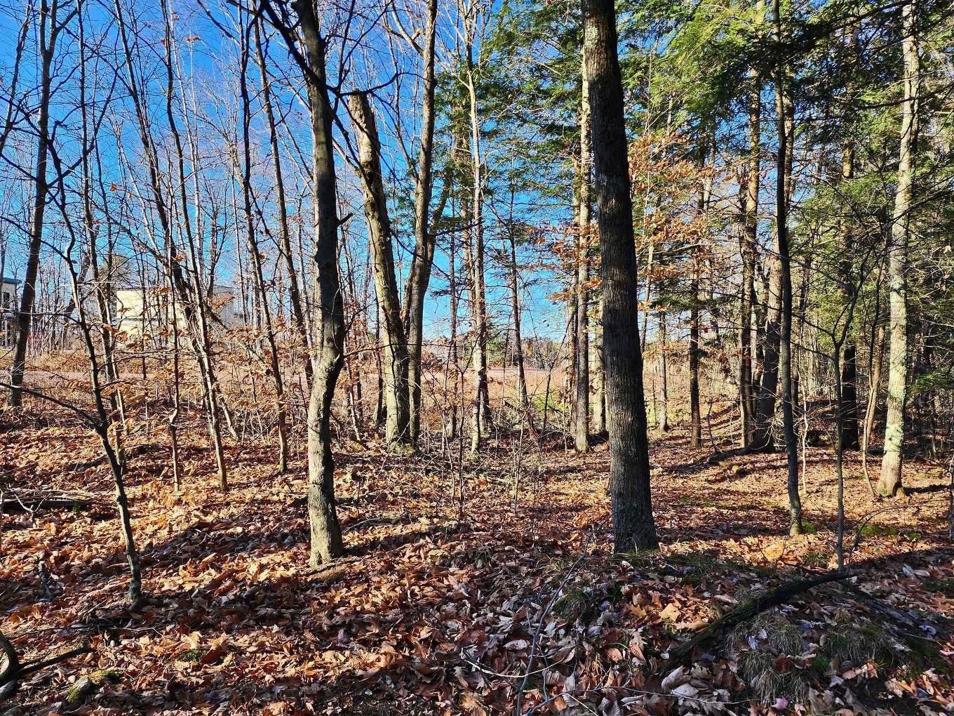 Terre/Terrain - Rue De Düren, Brownsburg-Chatham, QC