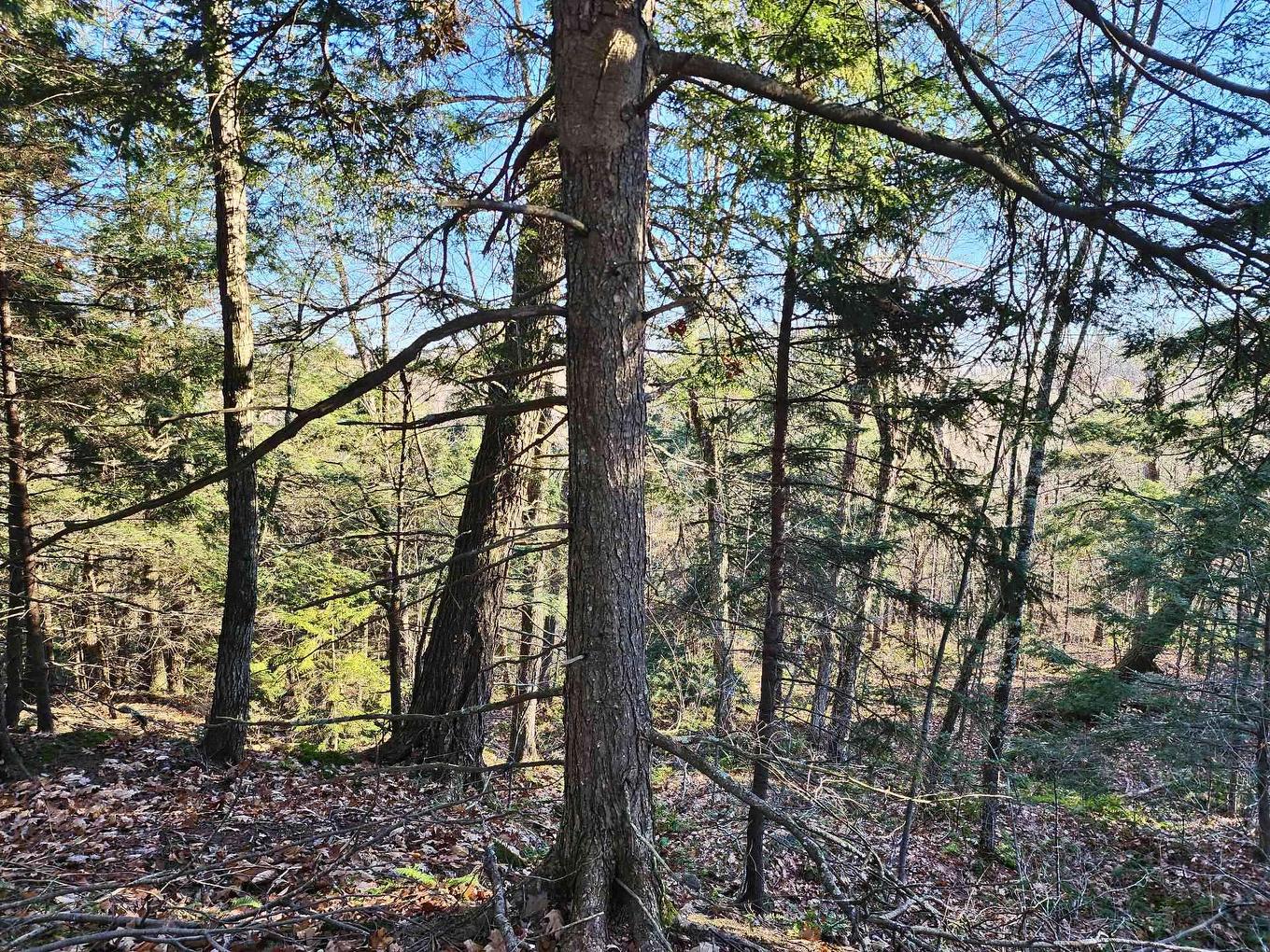 Terre/Terrain - Rue De Düren, Brownsburg-Chatham, QC