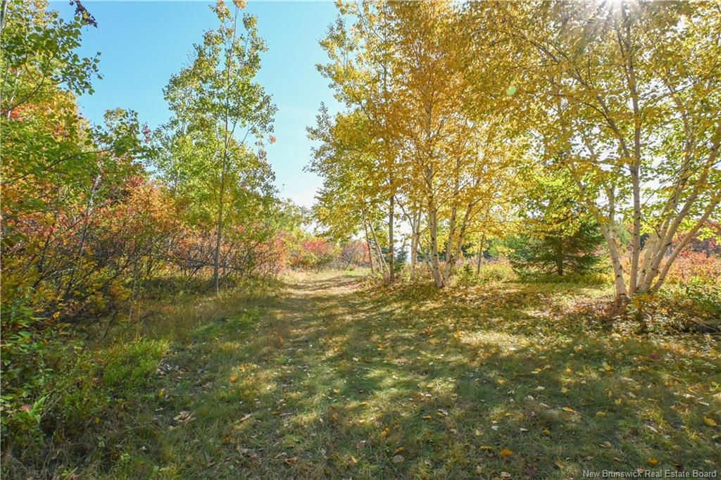 Lot Olivier Rd, Maisonnette, NB