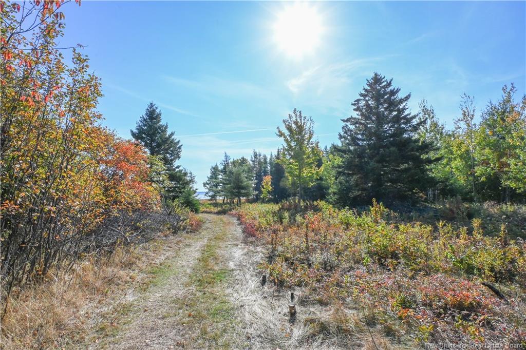 Lot Olivier Rd, Maisonnette, NB