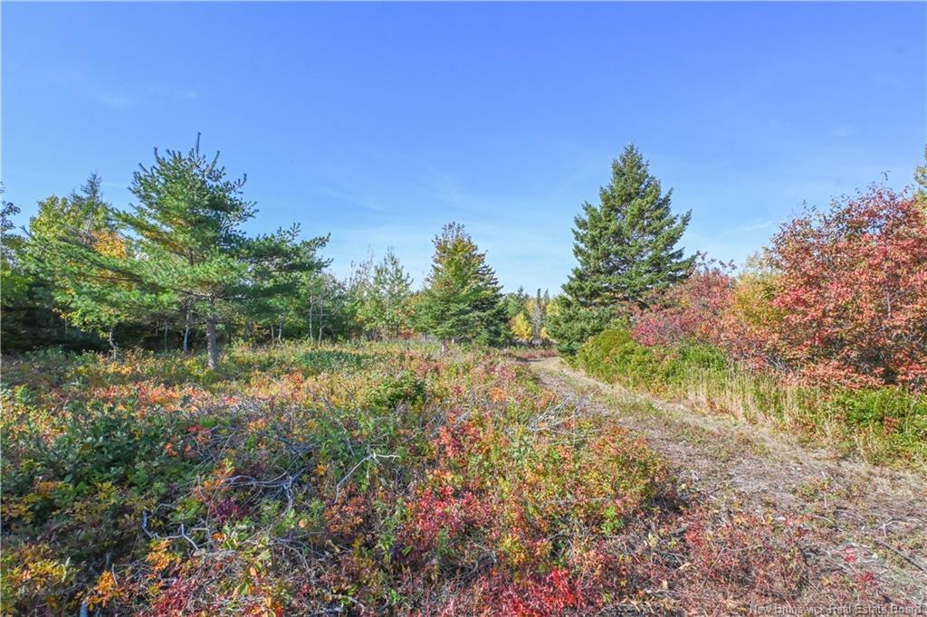 Lot Olivier Rd, Maisonnette, NB