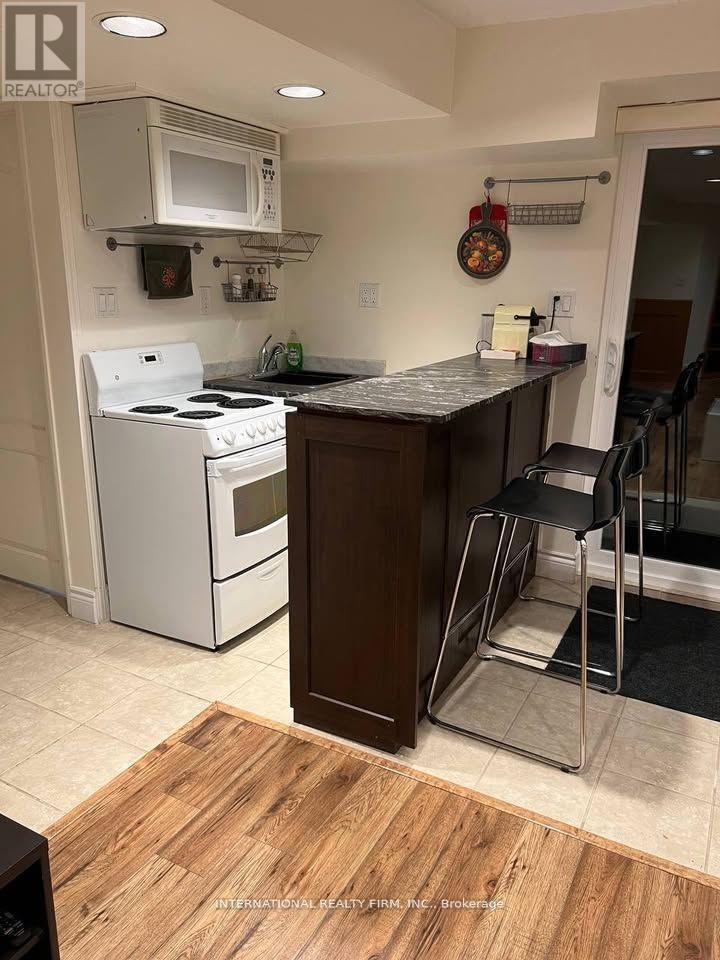 Basement - 22 Ambrose Court, Markham, ON - Indoor Photo Showing Kitchen