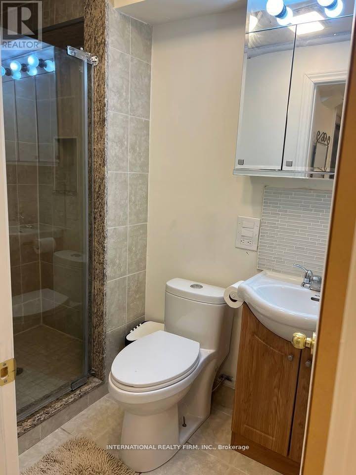 Basement - 22 Ambrose Court, Markham, ON - Indoor Photo Showing Bathroom