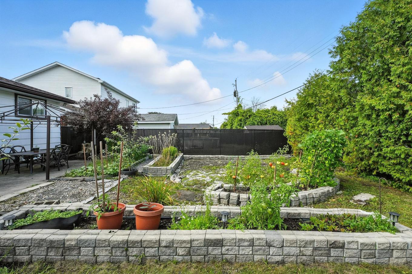 Cour - 400 Rue Murphy, Gatineau (Gatineau), QC - Outdoor