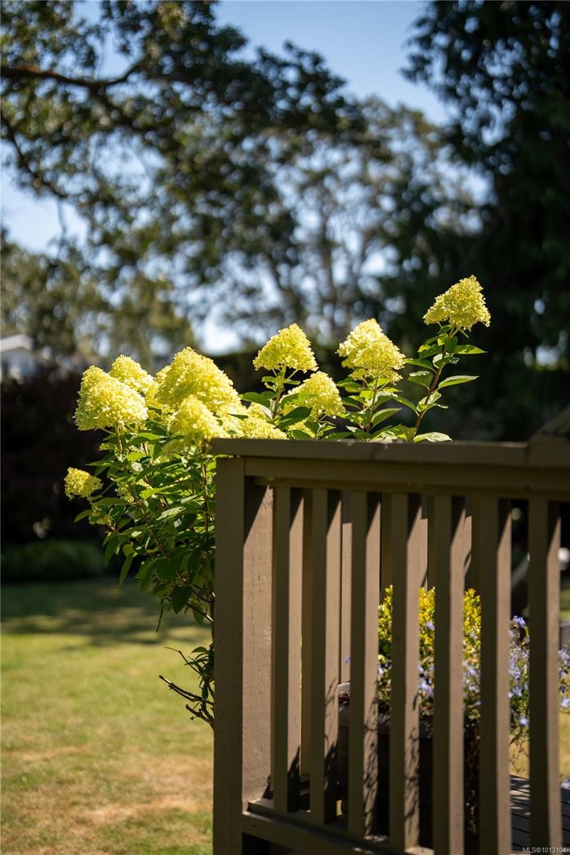 683 Mountjoy Ave, Oak Bay, BC