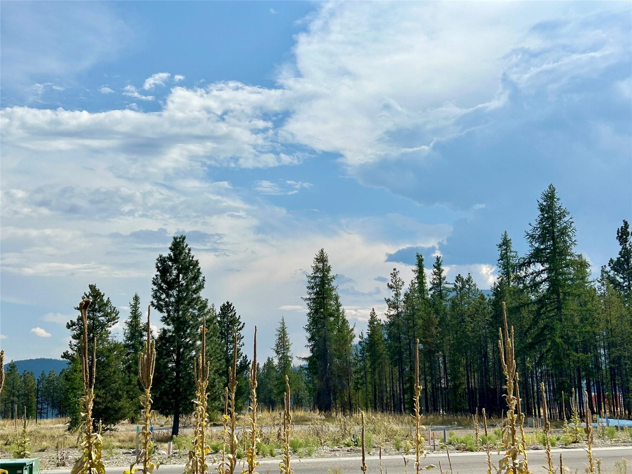 126 Ponderosa Point, Kimberley, BC - Outdoor With View
