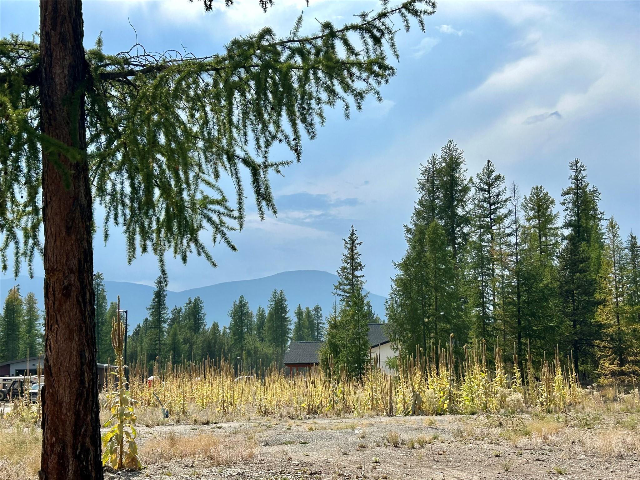 126 Ponderosa Point, Kimberley, BC - Outdoor With View
