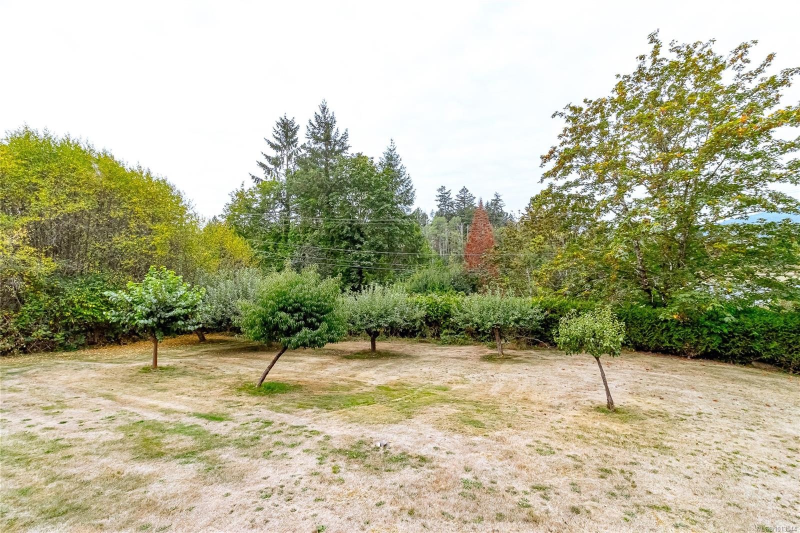 6883 Westcott Rd, Duncan, BC