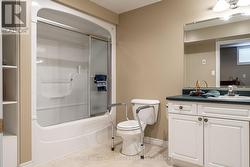 Basement Bathroom -