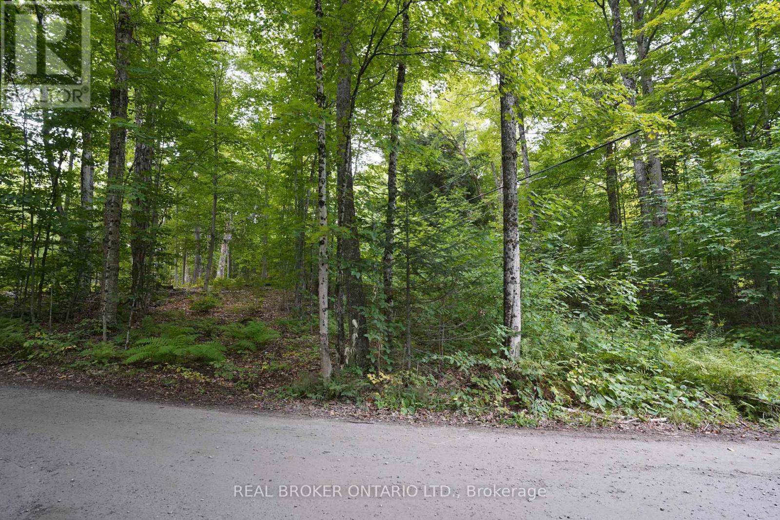 N/A Fader Drive, Algonquin Highlands, ON