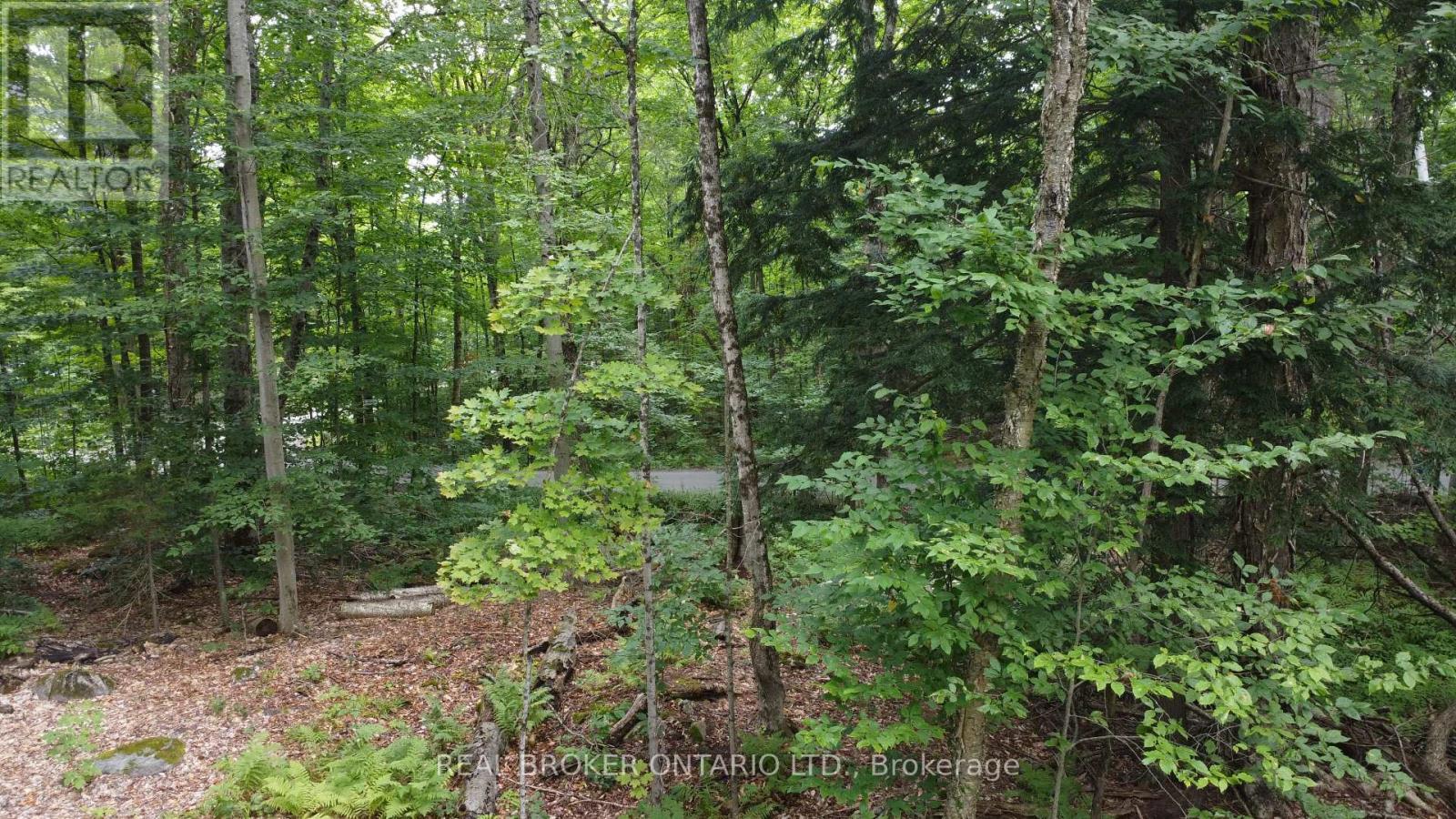 N/A Fader Drive, Algonquin Highlands, ON