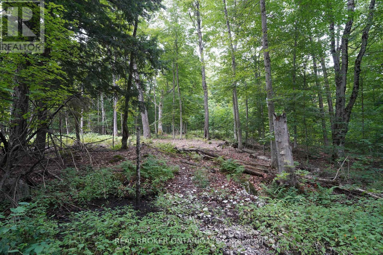 N/A Fader Drive, Algonquin Highlands, ON