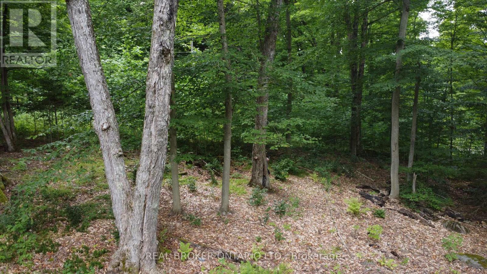 N/A Fader Drive, Algonquin Highlands, ON