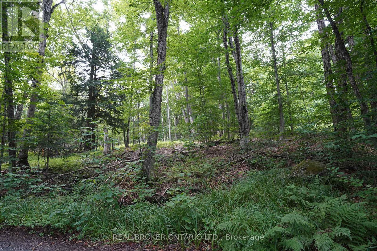 N/A Fader Drive, Algonquin Highlands, ON