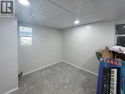 Basement den/office -