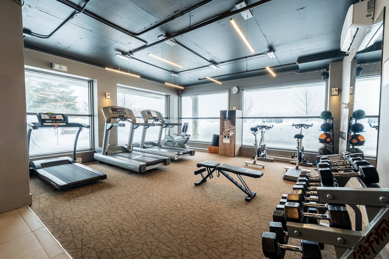 Salle d'exercice - 110-43 Ch. Fridolin-Simard, Estérel, QC - Indoor Photo Showing Gym Room