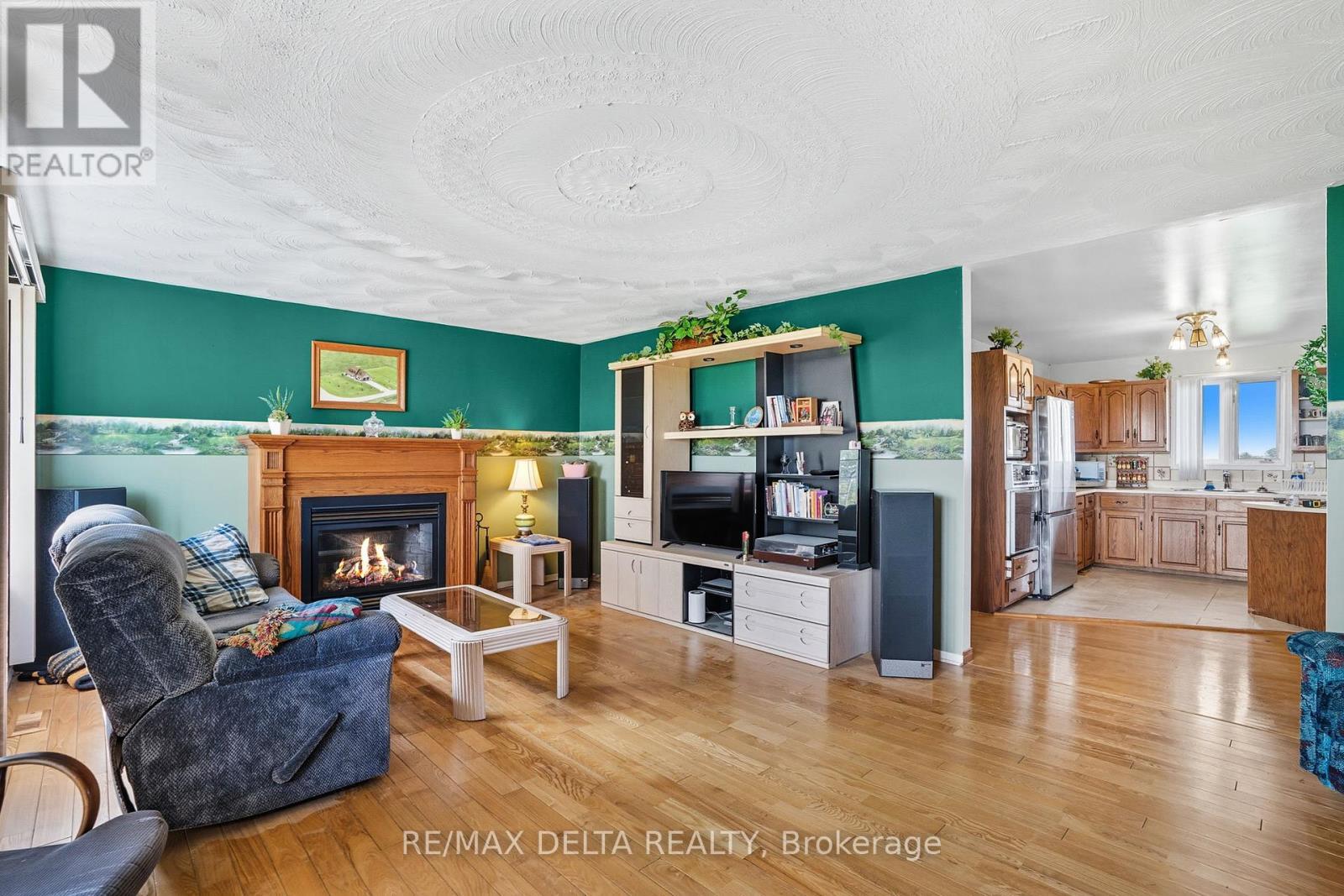 4254 Conc 20 Concession, The Nation, ON - Indoor Photo Showing Living Room With Fireplace