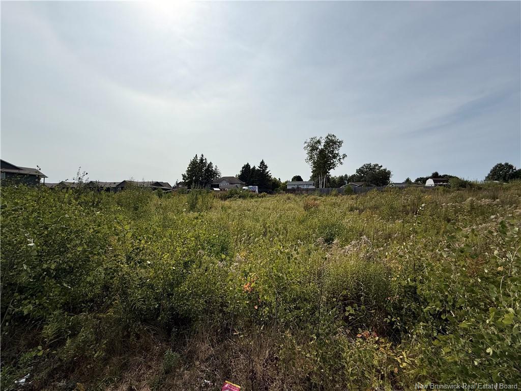 Lot Chesley, Shediac, NB