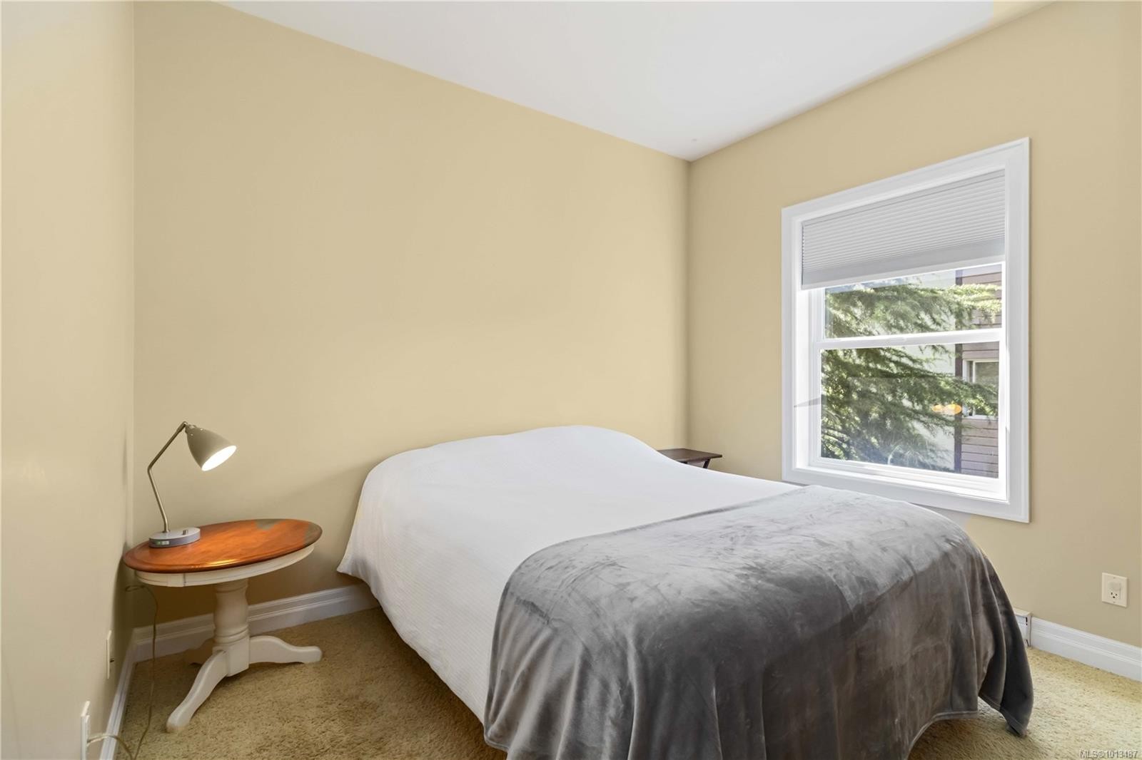 4-1827 Fairfield Rd, Victoria, BC