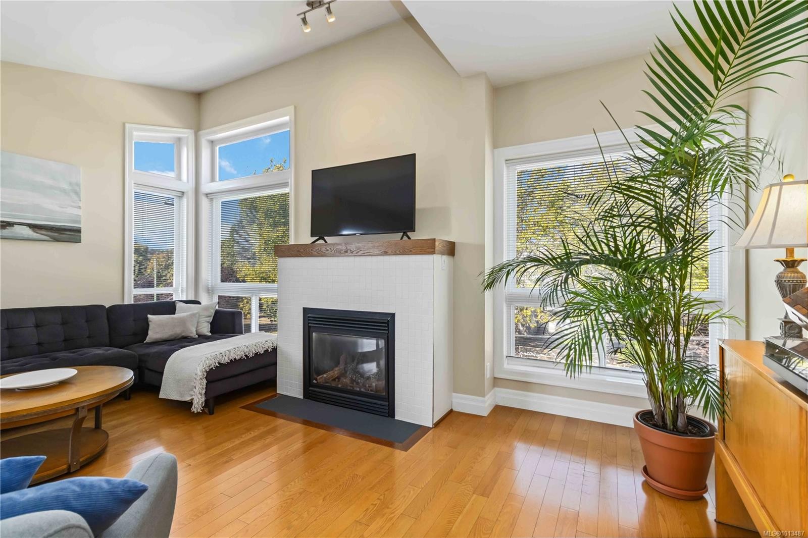 4-1827 Fairfield Rd, Victoria, BC