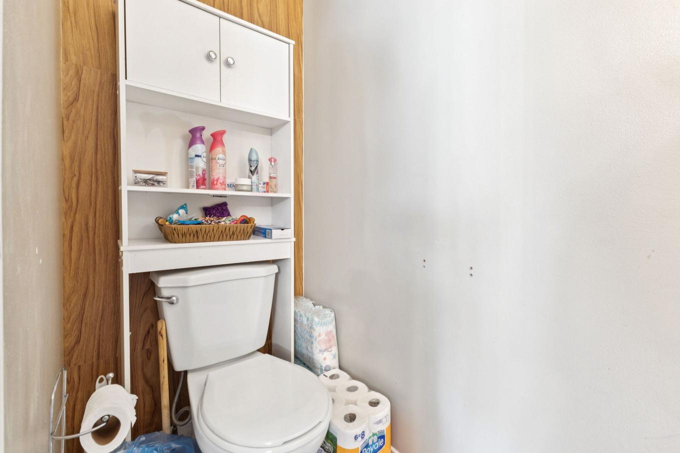 Salle d'eau - 159 Rue De Bourgneuf, Gatineau (Masson-Angers), QC - Indoor Photo Showing Bathroom