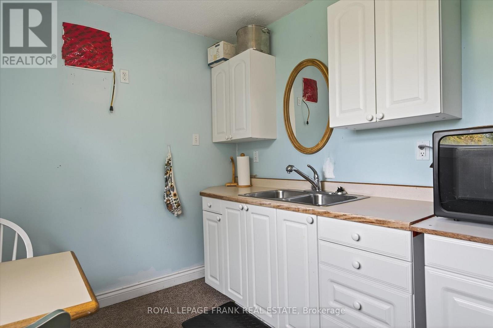 680 Serpent Mounds Road, Otonabee-South Monaghan, ON - Indoor Photo Showing Kitchen With Double Sink