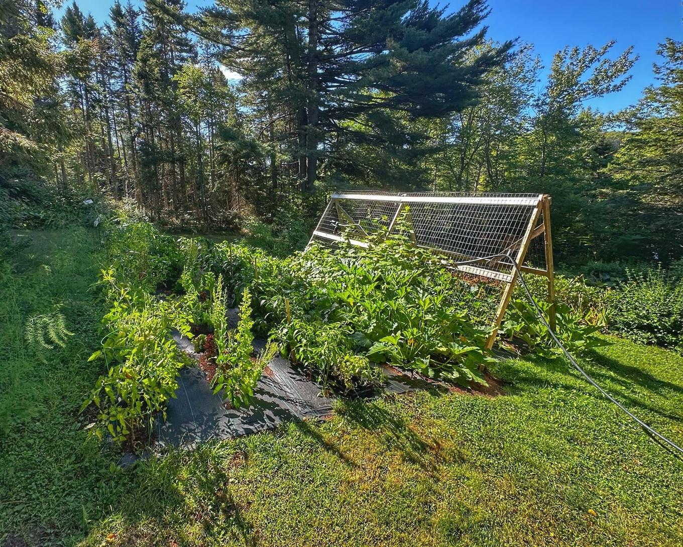 2159 Trout River Road, Millvale, PE