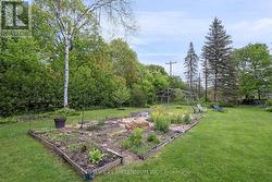 Perennial and veggie garden beds -