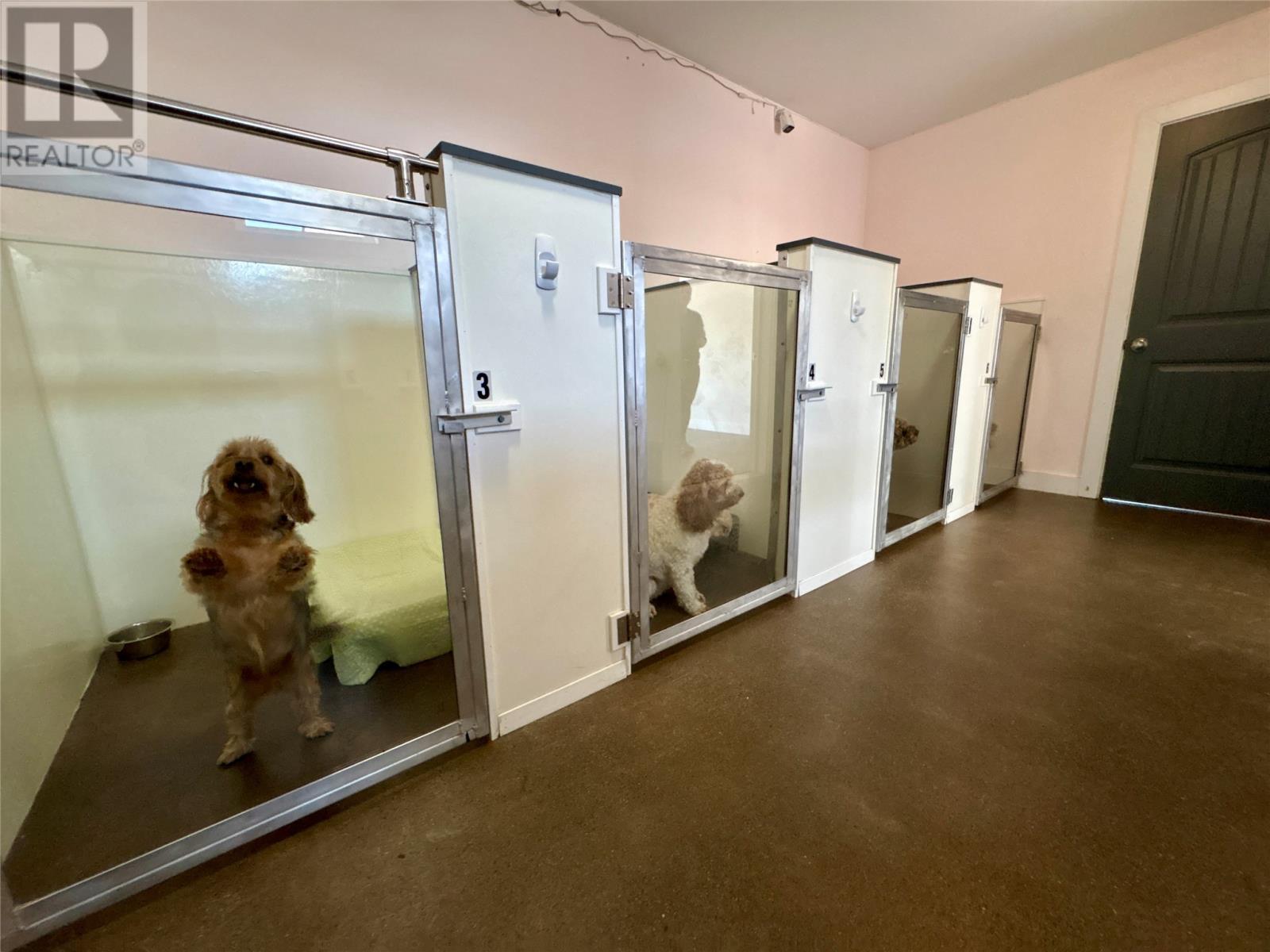 9 Church Road, Georges Brook-Milton, NL