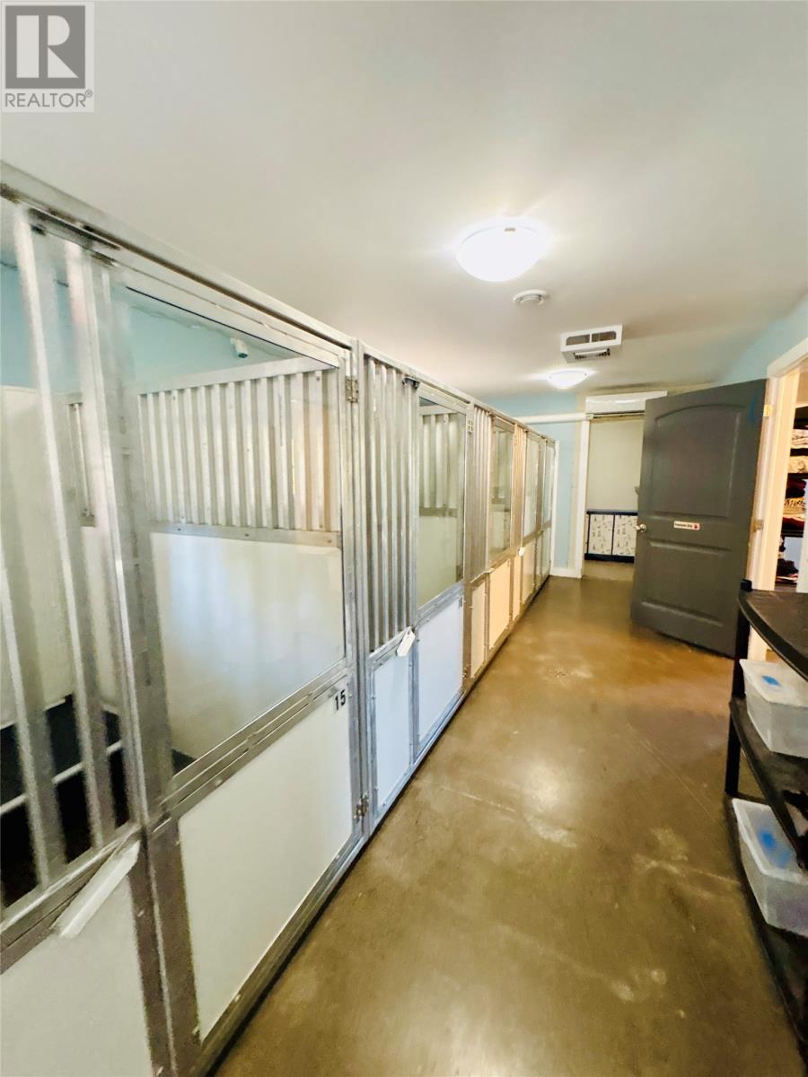 9 Church Road, Georges Brook-Milton, NL