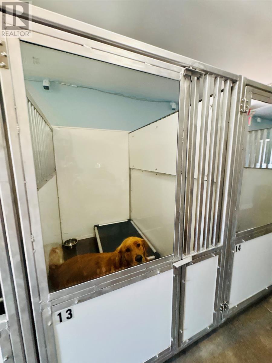 9 Church Road, Georges Brook-Milton, NL